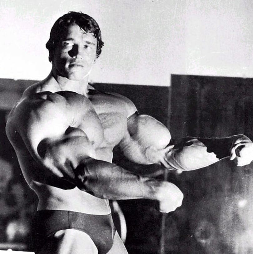 Saját magáról rendelt szobrokat Schwarzenegger