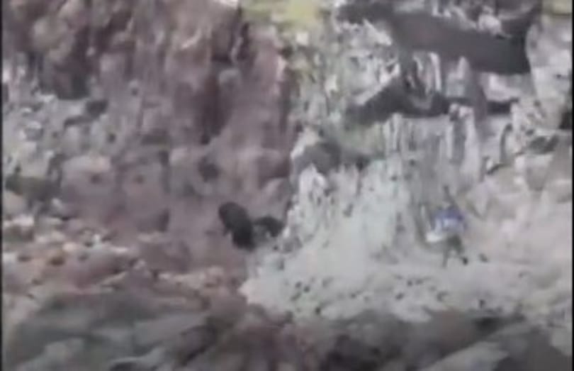 Videóra vették, ahogy egy orosz túravezető elűzi a csoportja felé tartó medvét