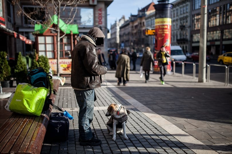 Döntött a Kúria: mégsem tilthatják ki egész Budapestről a hajléktalanokat
