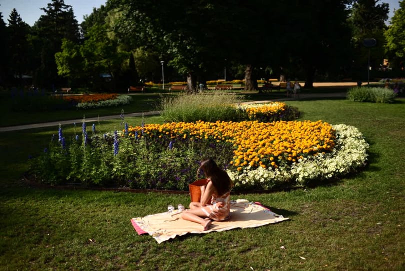 Guardian: Európa tíz legjobb szigete között van a Margitsziget