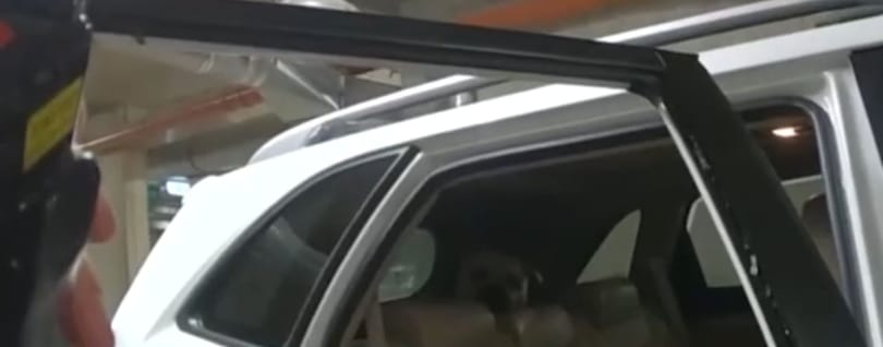 Fuldokló kutyát mentettek ki egy mélygarázsban parkoló autóból