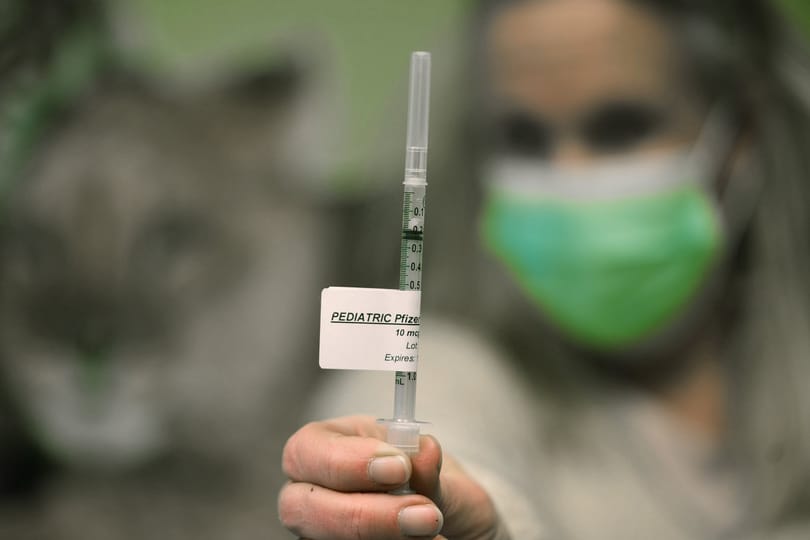 Februártól kötelező az oltás Ausztriában