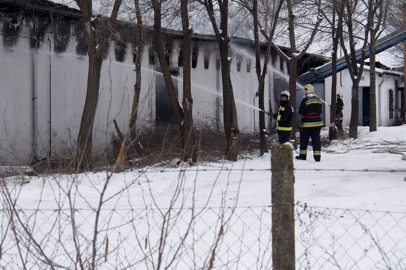 Sükösdi hodálytűz: 11 ezer tyúk pusztult el