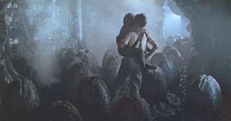 Tóta W.: Fogyimagyar