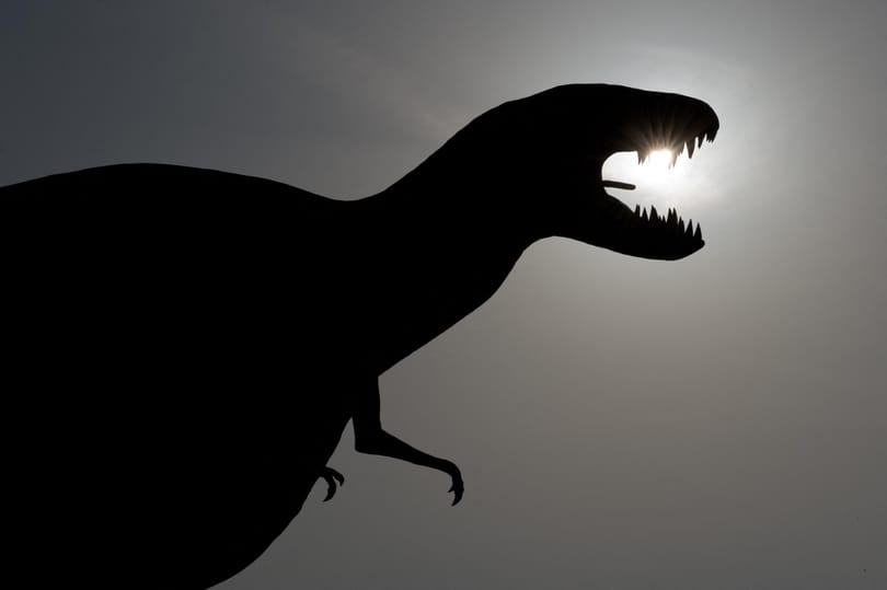 Sok magyar szerint az ember együtt élt a dinoszauruszokkal, a vírusok pedig laborokból jönnek
