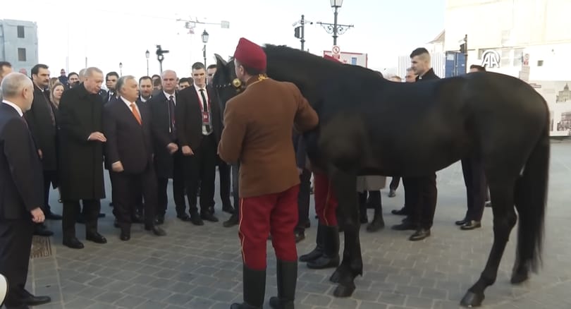 Lázár következő nagy projektje: kancát keres Erdogan lovának