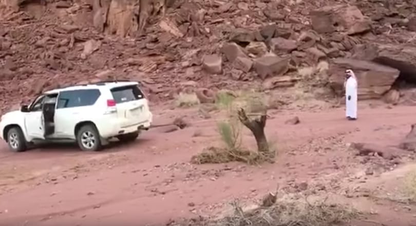 Instant karma: autóval akarták kihúzni a farönköt, nagyon rossz ötlet volt – videó