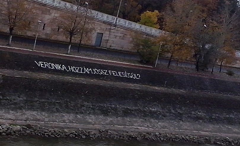 Fotó: Lánykérést festettek a Margitszigetre