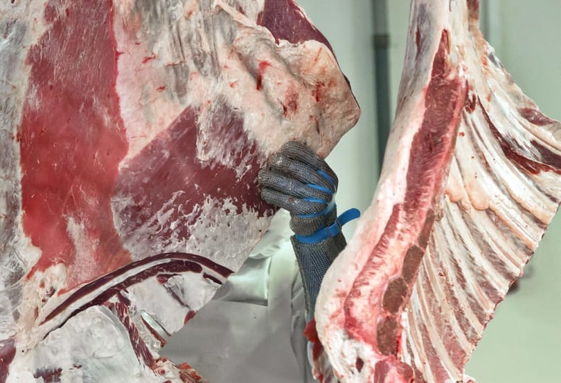 A város épített vágóhidat a közmunkásoknak Hajdúböszörményben