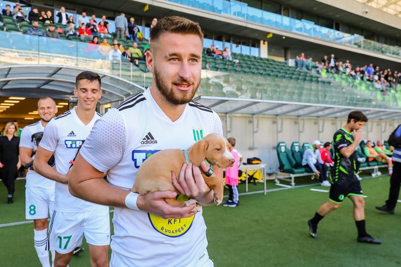 Menhelyi kutyákkal a kezükben vonultak fel a pályára a Haladás játékosai