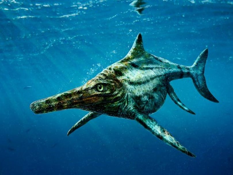 Rábukkanhattak a Loch Ness-i szörny rokonára - fotó