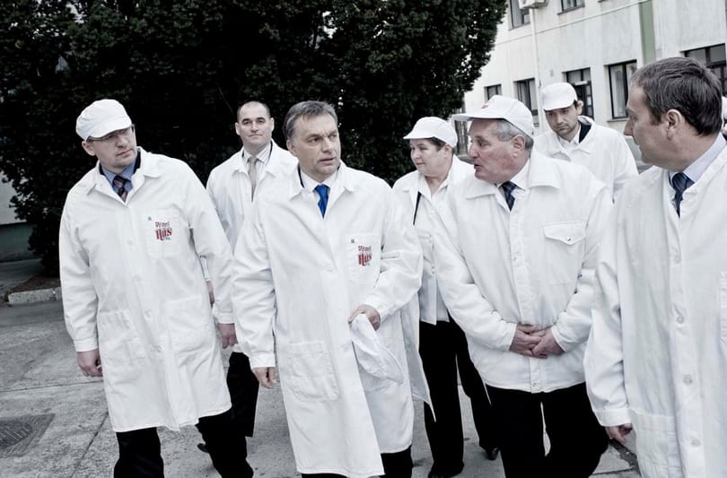 Sumákol a kormány a húsiparban elfüstölt milliárdok ügyében