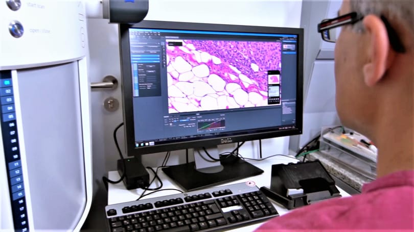 A Nature visszadobta az mRNS-ről szóló tanulmányt – ami utána következett, az már történelem