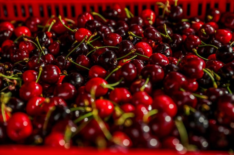 Ennyit aligha fizetne ki 15 szem primőr cseresznyéért