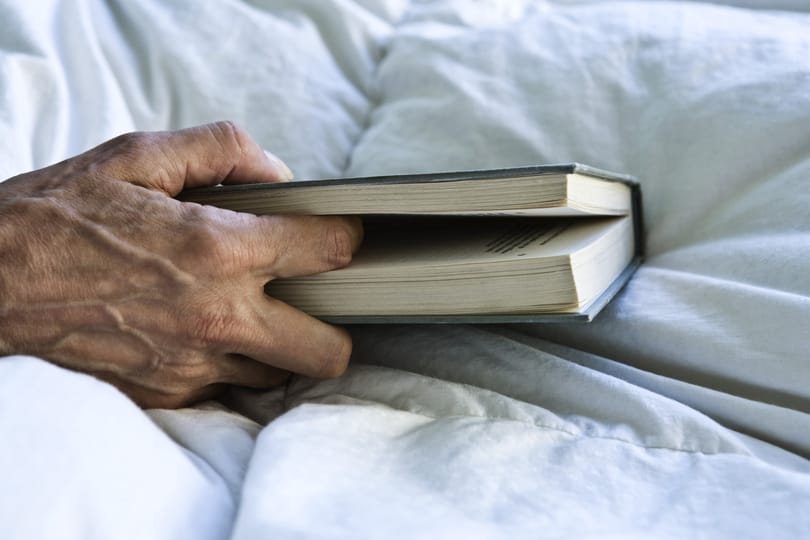 Balogék nem adtak pénzt, az emberek mentik a hospice házat
