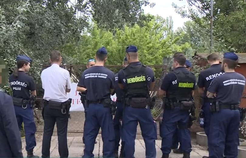 Nem tudták kilakoltatni a mocsáros dűlőt lekaszáló gazdát, mert szabadon engedte az állatait