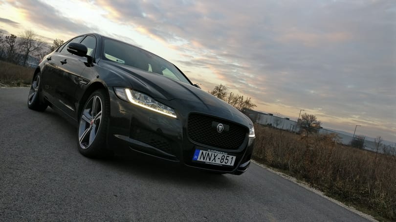 Vadmacskát szelídítettünk – teszten a Jaguar XF