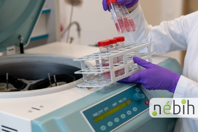 Valamennyi növényi fehérjepor megbukott a Nébih vizsgáján