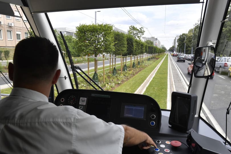 Füvesítették az 1-es villamos új szakaszát