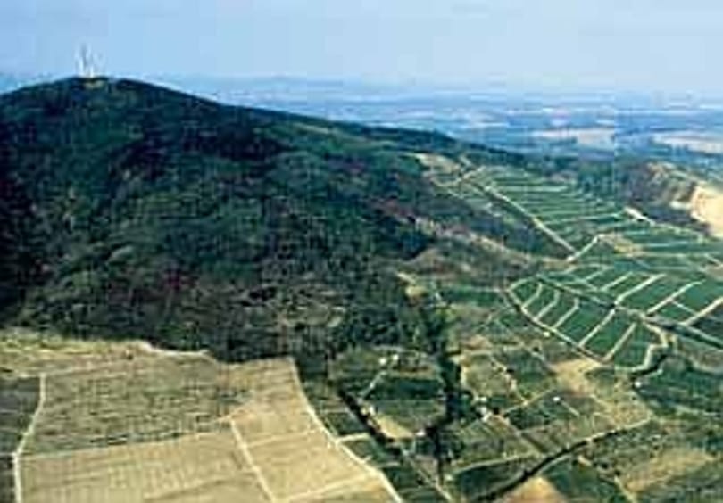 Tokaji borvita: 2011-ig csak egy maradhat