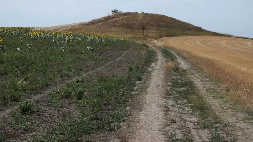 Eddig ismeretlen pókot találtak az Alföldön