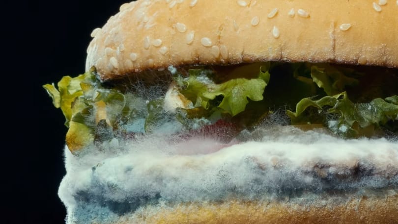 A Burger King új reklámját nehogy evés közben nézze meg