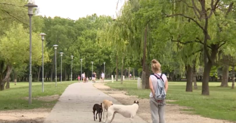 Építési tilalmat rendelhetnek el a Hajógyári-szigeten