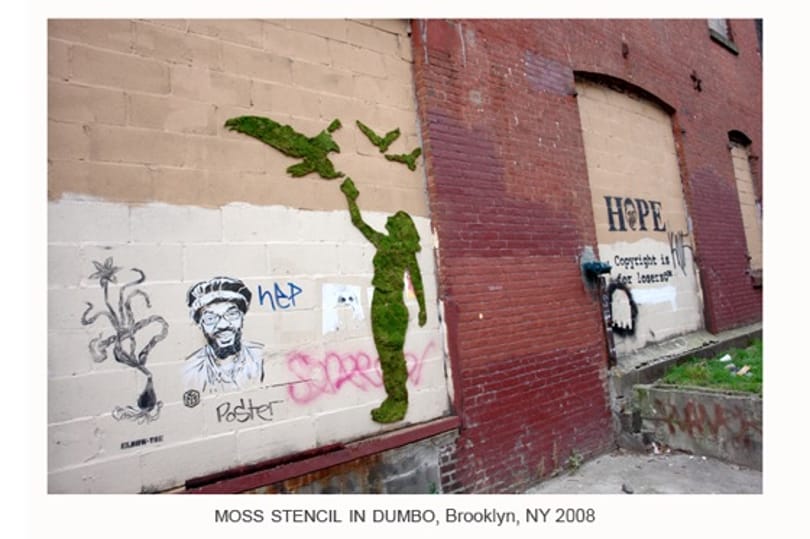 Öko-graffitisek New York-ban