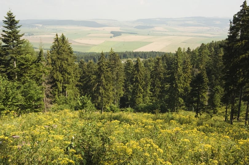 A hegyimentőknek kellett kiszabadítaniuk két eltévedt magyar nőt egy szlovák nemzeti parkból