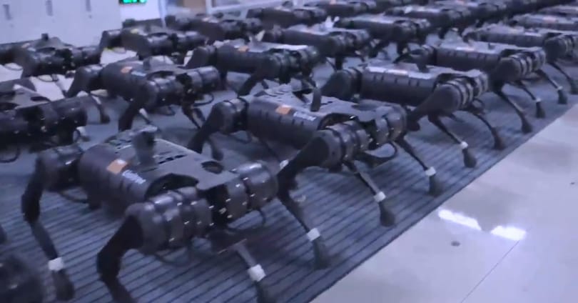 Félelmetes, ahogy egyszerre mozdul meg több tucat kínai robotkutya – videó