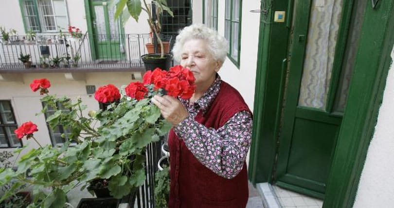 Újabb tények az őszülésről