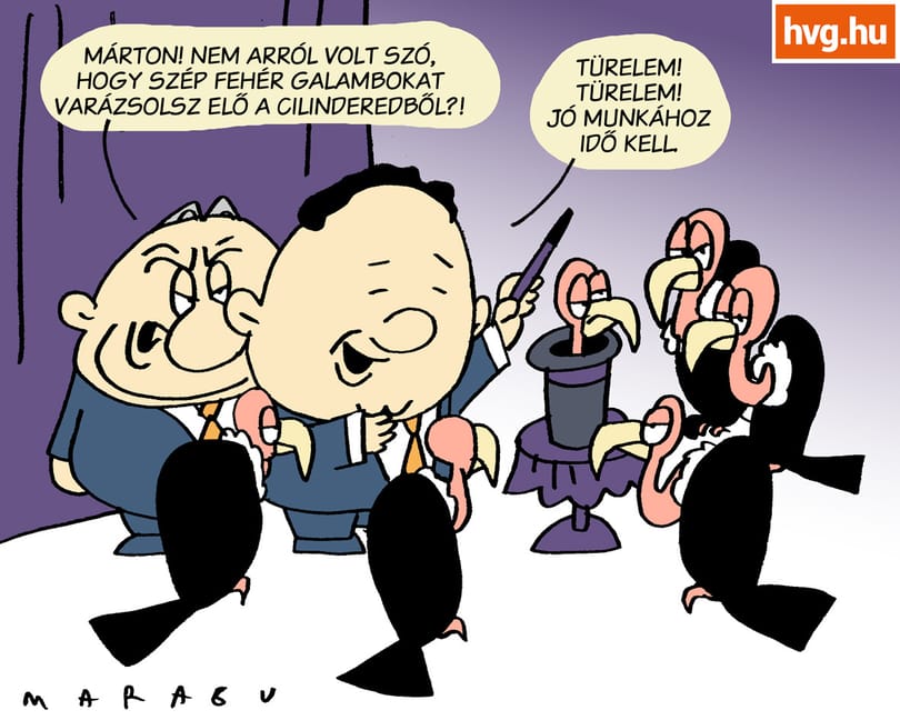 Marabu Féknyúz: Gazdasági hókuszpókuszok