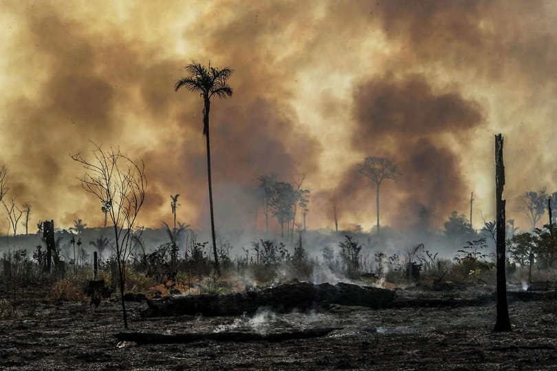 Megugrott a hőmérséklet az Amazonas-medencében, és ez mindent borít