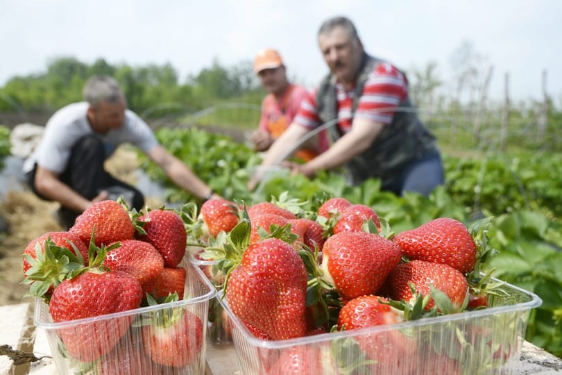 Mutatjuk, hol lehet 500 forint alatt epret kapni