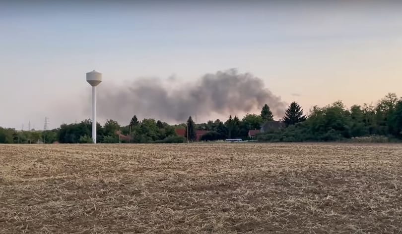 Darazsakat akart irtani, de véletlenül két autót gyújtott fel