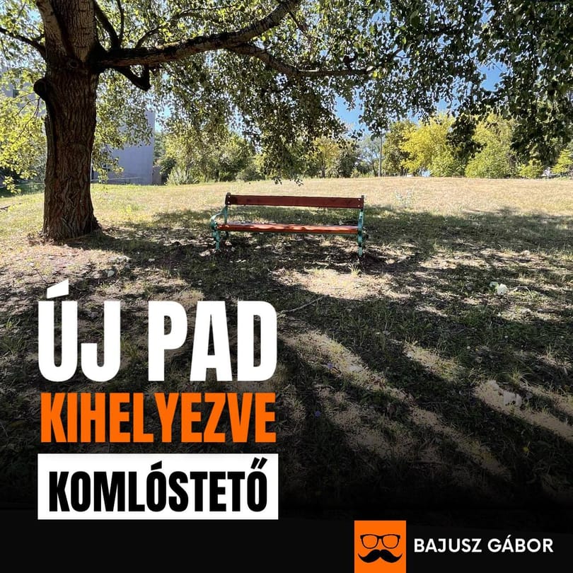Sikeres miskolci városfejlesztés: padot helyeztek el egy fa alatt
