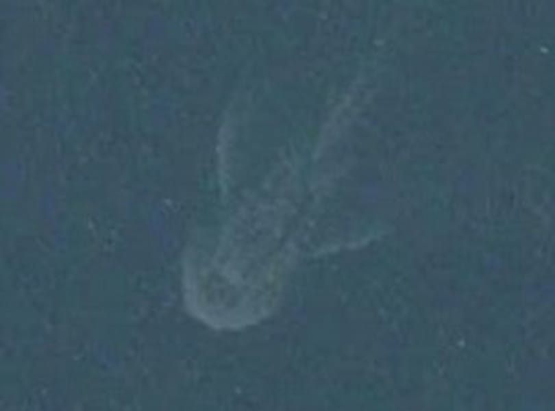 Szonárképen a Loch Ness-i szörny?