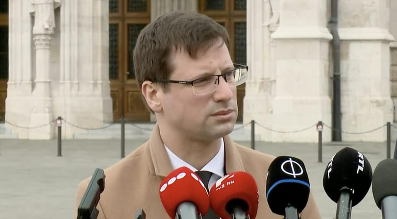 Gulyás: Idővel a rendőrök járnak majd ki elvégezni a koronavírustesztet