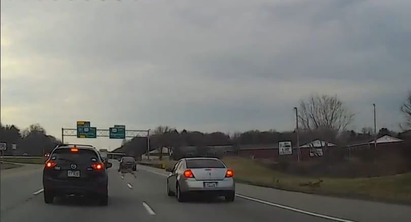 Ez történik, amikor őz rohan be az autópályára - videó