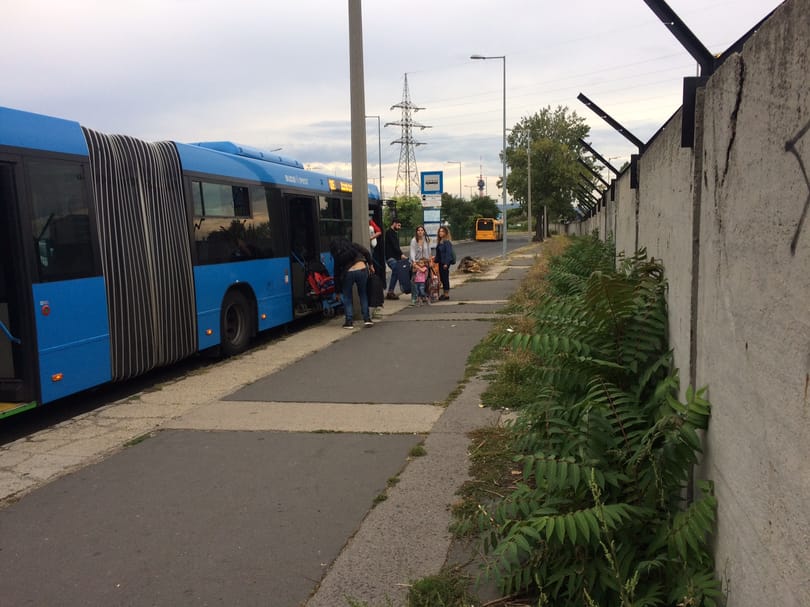 Itt a bizonyíték: kutyát sem érdekel, hogy parlagfű fogadja a turistákat