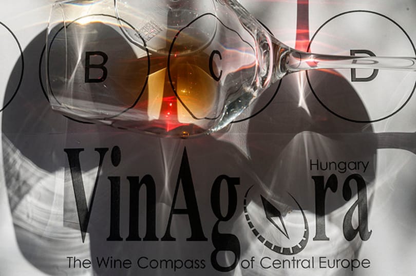 Közép-Európa boriránytűje: VinAgora