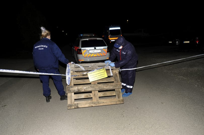 Emberi csontokat találtak egy szentendrei ház udvarán