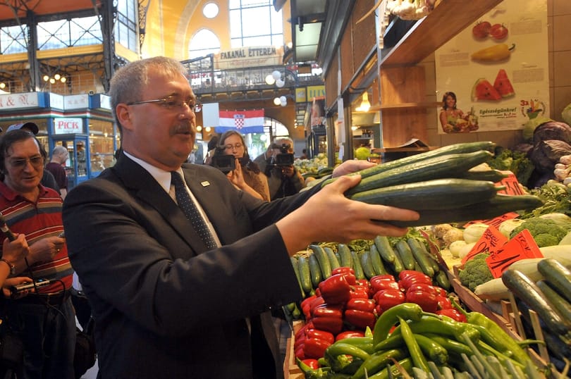 Fazekas Sándor beleharapott a magyar uborkába