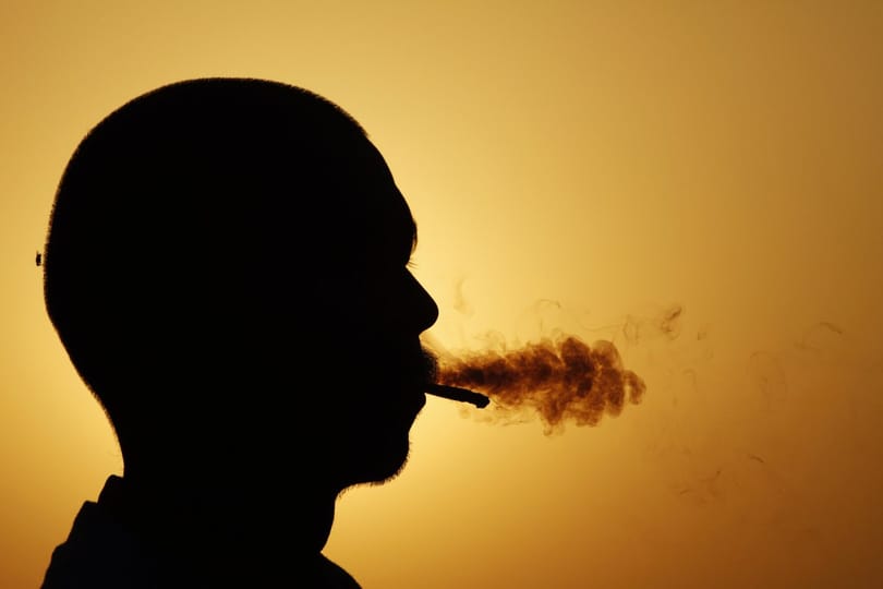 Az AXA rájött, hogy a dohányzás káros, el is adja dohányipari befektetéseit