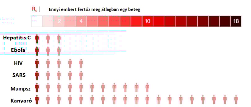 Ha ezt megnézi, nem fog annyira félni az ebolától