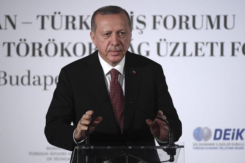 Tíz nagykövetet küldene haza a török elnök, amiért egy emberi jogi aktivista szabadon engedését kérték