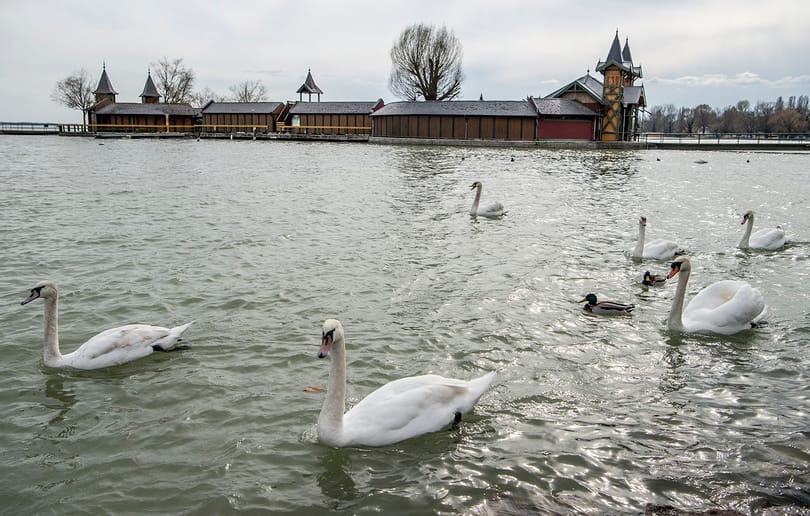 Hiába figyelmeztetett a NAV, minden negyedik cég megbukott a Balatonon