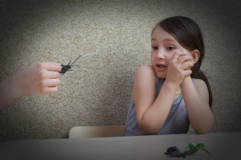 Örök erkölcsi dilemma: a tett vagy a szándék a fontosabb?