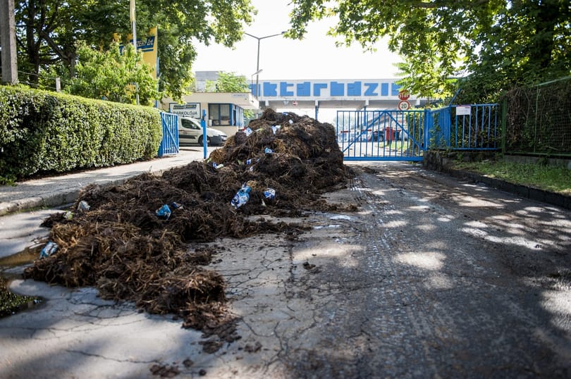 Prüszkölnek a magyar tejtermelők az importtej miatt