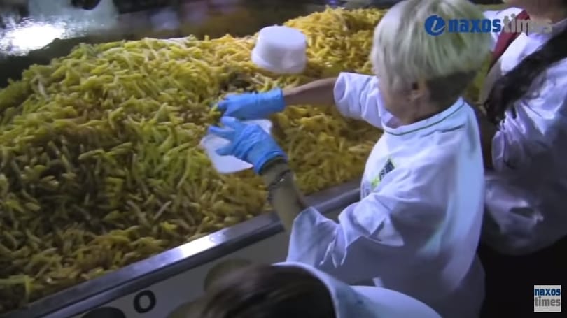 Ekkora adag sültkrumplit eddig még nem láttak - videó